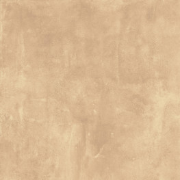 suggestion-image